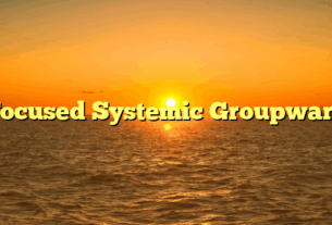 Focused Systemic Groupware