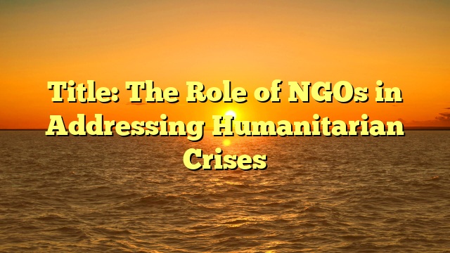 Title: The Role of NGOs in Addressing Humanitarian Crises